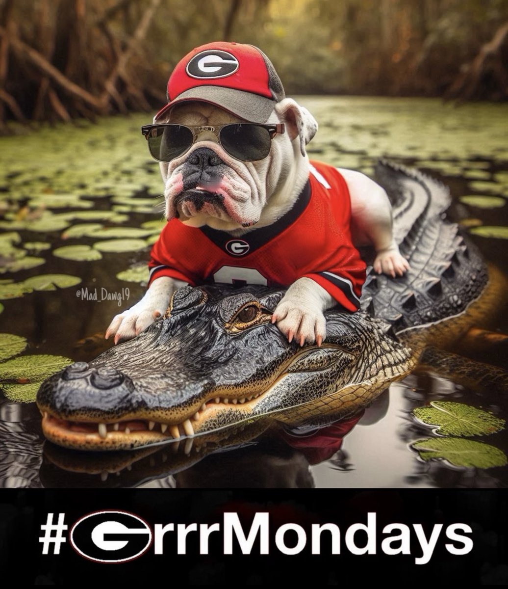 Mike The Mad Dawg tweet media