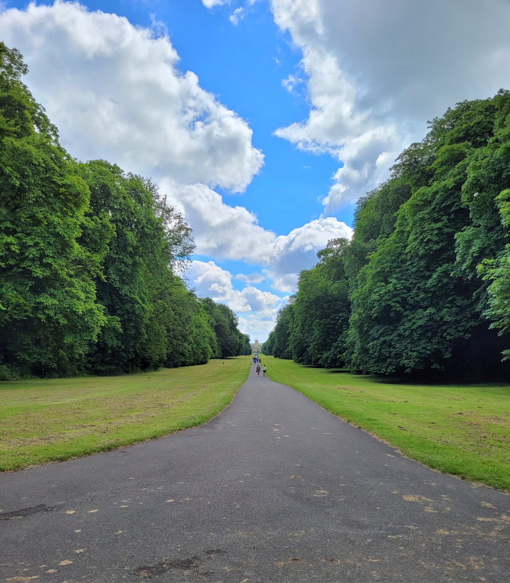 Part-time student, Jennifer Wright shares her top tips for managing part-time research study and dealing with its unique challenges (and opportunities) phdlife.warwick.ac.uk/2024/10/28/top…