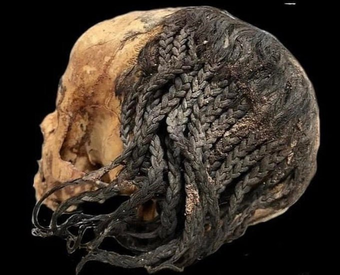 VertigoWarrior's tweet photo. 24. An incredible 3,300-year-old hairstyle on a preserved ancient Egyptian head https://t.co/1nnEbYiqXw