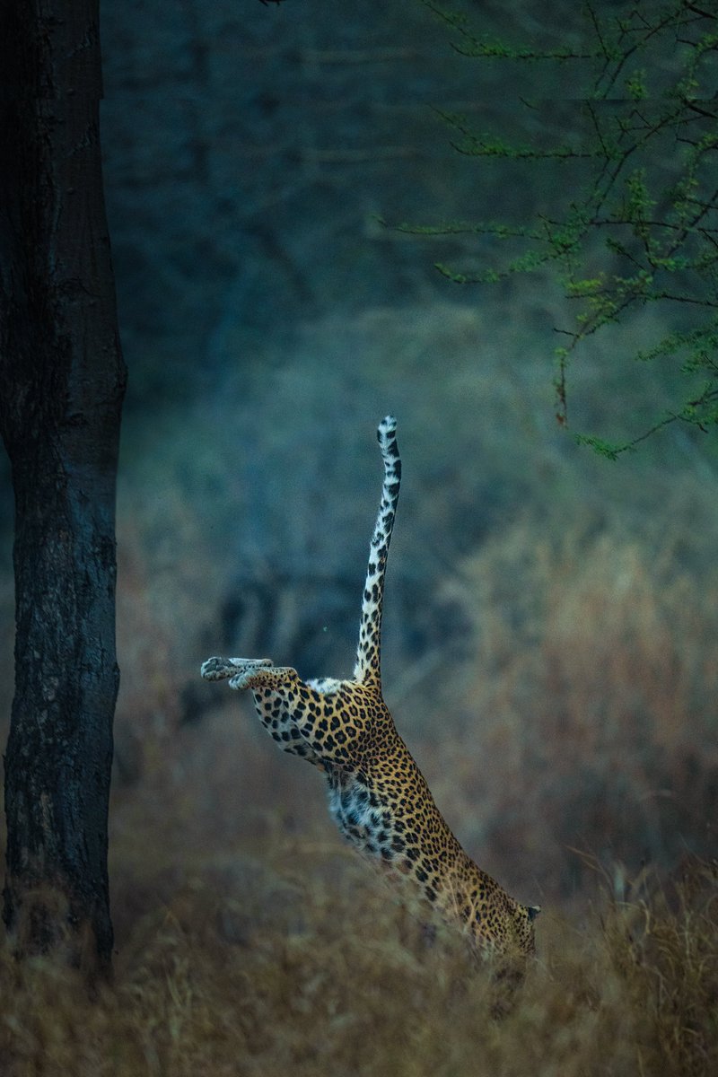 Subhash Nair tweet media