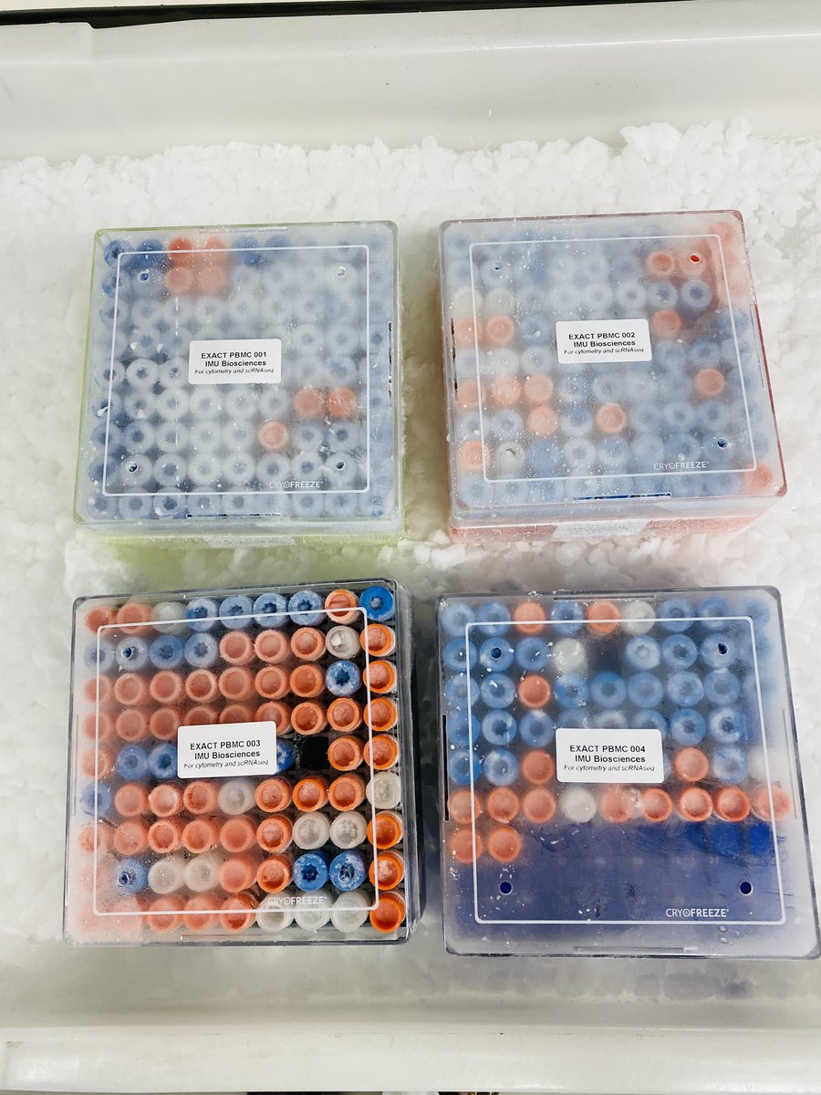 MaxEmmerichDerm's tweet image. Thrilled to get the first batch of samples from our @royalmarsdenNHS @TurajlicLab EXACT immunotherapy response study to our collaborators at IMU Biosciences as part of the @MANIFEST_CIRRP platform. Watch this space, exciting data to come! 👀🧪