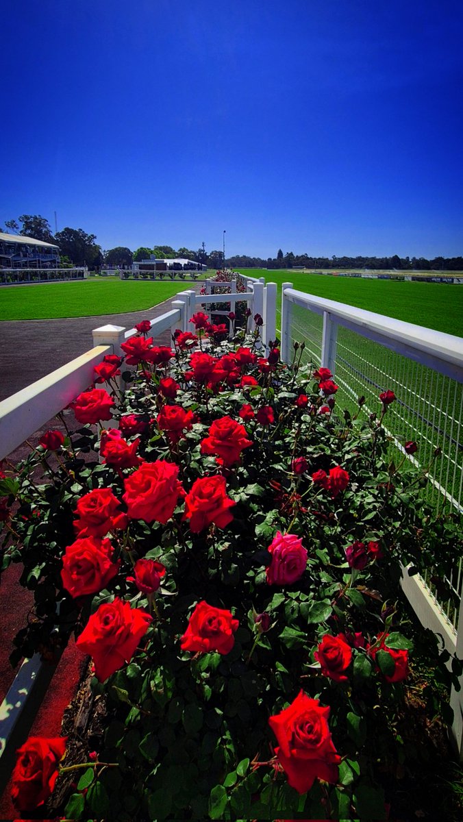 SarahTainbridge's tweet photo. #Ascot 🫶 https://t.co/2Q4nqgUGzZ