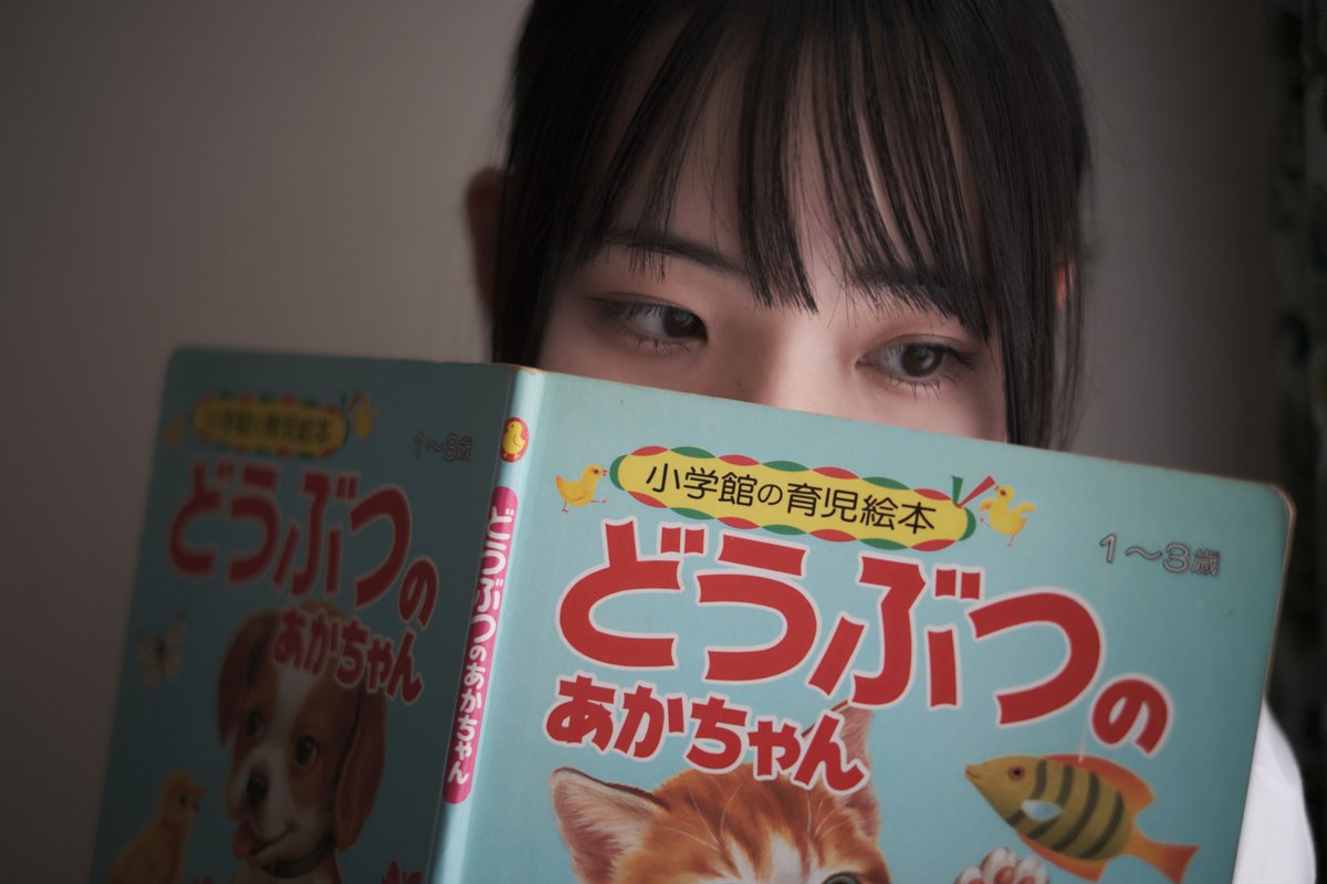 藍色🦋🐶 tweet media