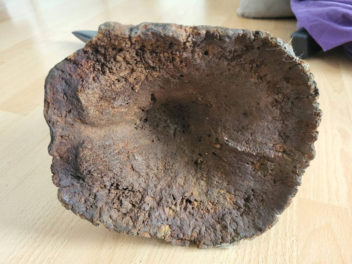 vodoospells's tweet image. So you know that #Rhinohorns cure #cancer with our traditional medicine we can help you over come your problems.

#cancer #CancerFreeWithPAEC #cancerDeMama #CancerAwareness #CancerTreatment