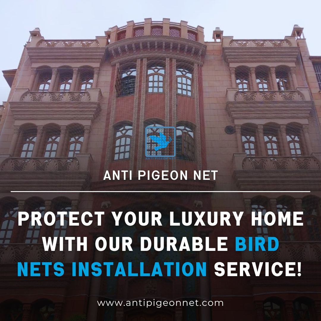 antipigeonnet's tweet image. Luxury shouldn't include bird troubles!  
Our durable bird nets offer effective protection with a clean aesthetic.   
 visit antipigeonnet.com for a free quote!
.
.
.
#birdproblems #birdcontrol #birdnetinstallation #balconylife #luxuryliving #homeimprovement