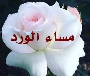 مسعود خليل (@kmt358i) on Twitter photo 