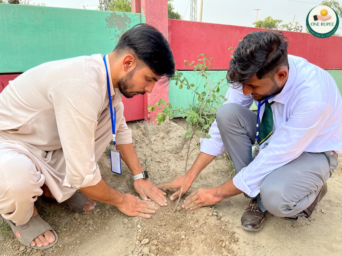OneRupee_1's tweet photo. Plantation In Kasur🌴 https://t.co/qmMYbhgfuG
