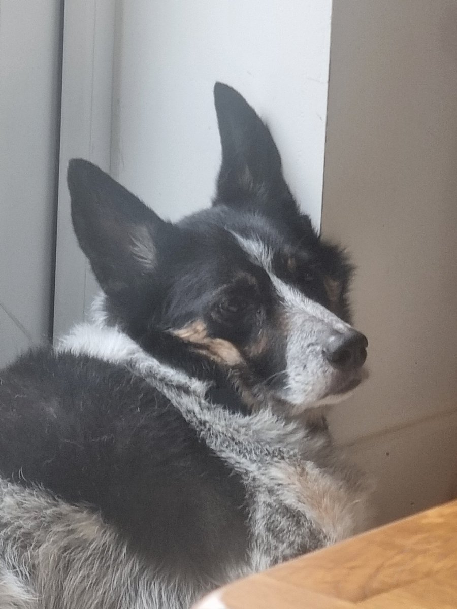 Axel Tyler tweet media