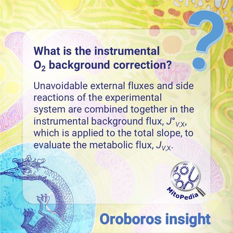 OroborosI's tweet image. Applying the oxygen background correction is key to precise metabolic flux analysis.
Learn more: buff.ly/4c212Vo
buff.ly/3C7Xgw8
#MitoPedia #DatLab #HighResolutionRespirometry