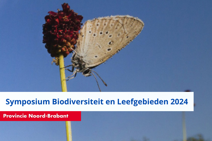 RAVON (@ravon) on Twitter photo Symposium Biodiversiteit en Leefgebieden op 4 december 2024 Den Bosch | Provincie Noord-Brabant organiseert dit jaar voor de 11e keer het symposium Biodiversiteit en Leefgebieden. Aanmelden vanaf 6 november. ravon.nl/Actueel/Agenda…
<a href="/Brabant/">Provincie Noord-Brabant</a> @FLORONNederland <a href="/Zoogdierverenig/">Zoogdiervereniging</a> Symposium Biodiversiteit en Leefgebieden op 4 december 2024 Den Bosch | Provincie Noord-Brabant organiseert dit jaar voor de 11e keer het symposium Biodiversiteit en Leefgebieden. Aanmelden vanaf 6 november. ravon.nl/Actueel/Agenda…
<a href="/Brabant/">Provincie Noord-Brabant</a> @FLORONNederland <a href="/Zoogdierverenig/">Zoogdiervereniging</a>