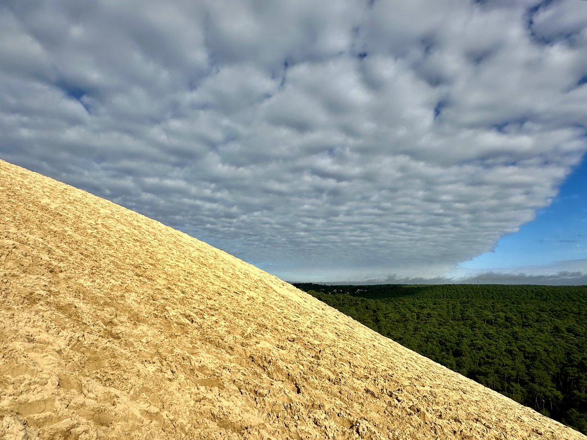 Dr Jérôme BARRIERE, MD. tweet media