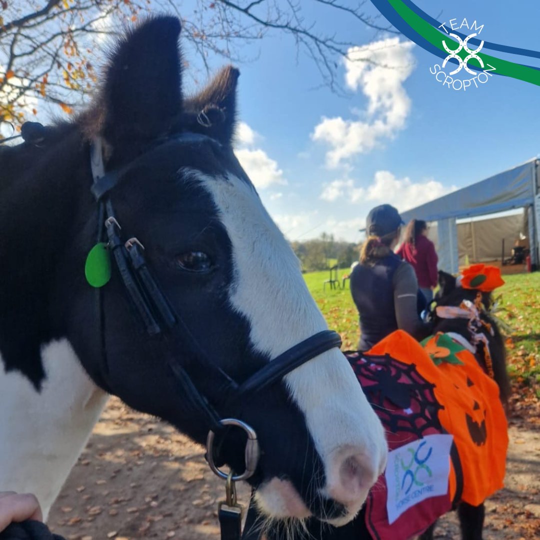 Scropton Horse Centre (@scroptonhc) on Twitter photo Cody, April and Kipster with Eve and Sally and our lovely Scropton guests enjoyed the Pumpkin Walk at <a href="/Elandlodge/">Eland Lodge</a> - thank you to everyone who came and supported us yesterday π
If you would like to help us and donate no matter how big or small at scropton.com/donate π° Cody, April and Kipster with Eve and Sally and our lovely Scropton guests enjoyed the Pumpkin Walk at <a href="/Elandlodge/">Eland Lodge</a> - thank you to everyone who came and supported us yesterday π
If you would like to help us and donate no matter how big or small at scropton.com/donate π°