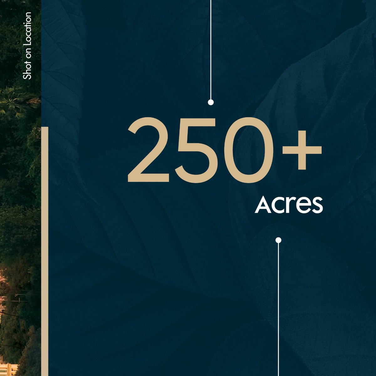 Hiranandani Developers tweet media