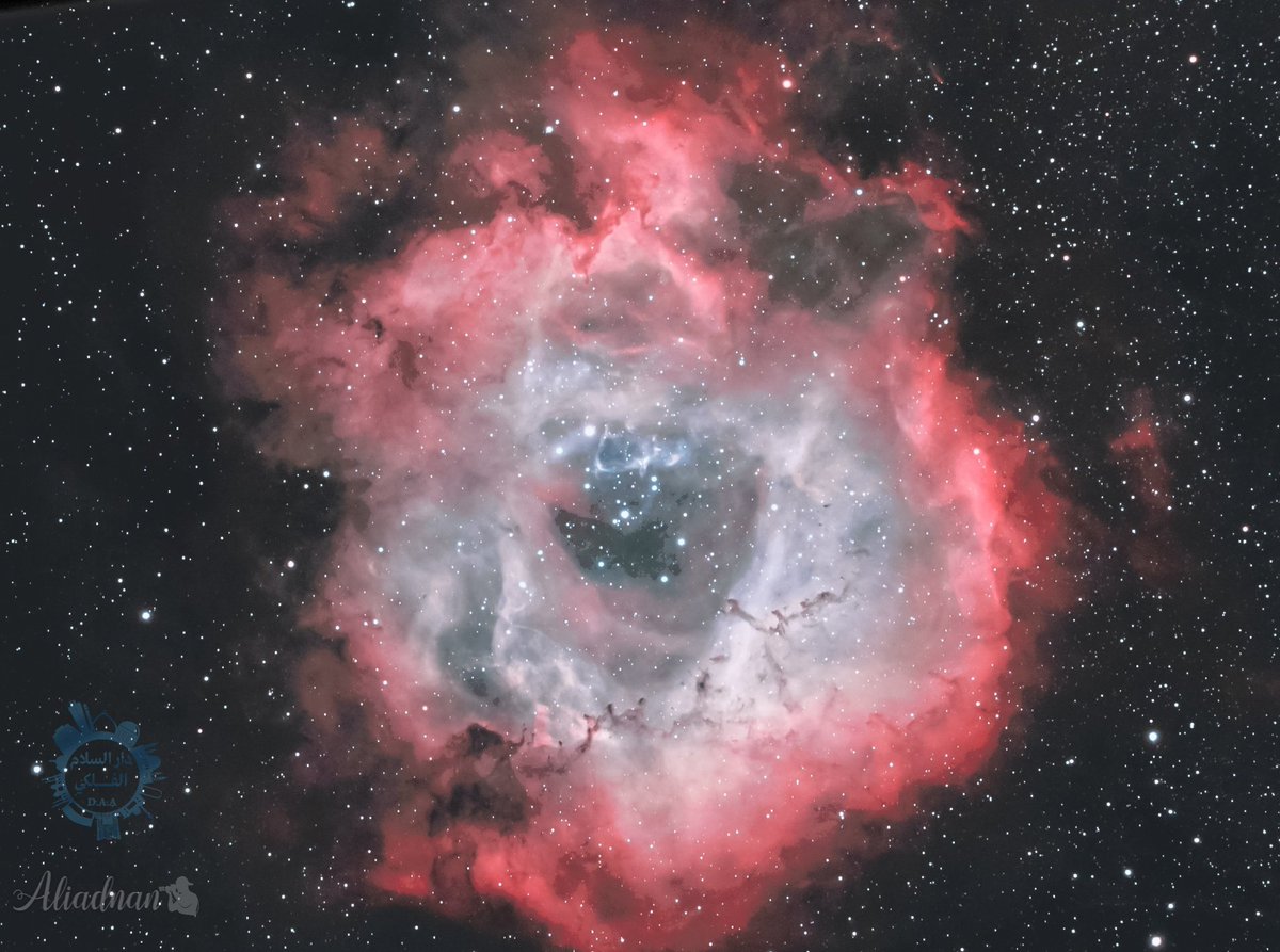 تصويري لسديم الوردة أو سديم روزيت من سماء محافظة المثنى (بادية السماوة).
الفلكي