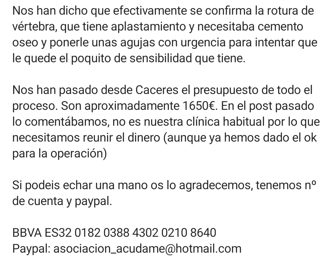 ACUDAME Merida tweet media