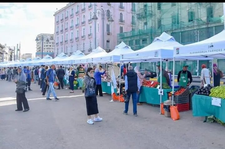 حد يعرف مين أصحاب "Alexandria Farmers"، اللي أخدوا وسط محطة الرمل أدام أوتيل پارادايز إن متروبول، بيبيعوا فيه خضار كل يوم سبت؟
إصرار عجيب على تحويل المدينة لعشوائيات في كل ركن فيها!