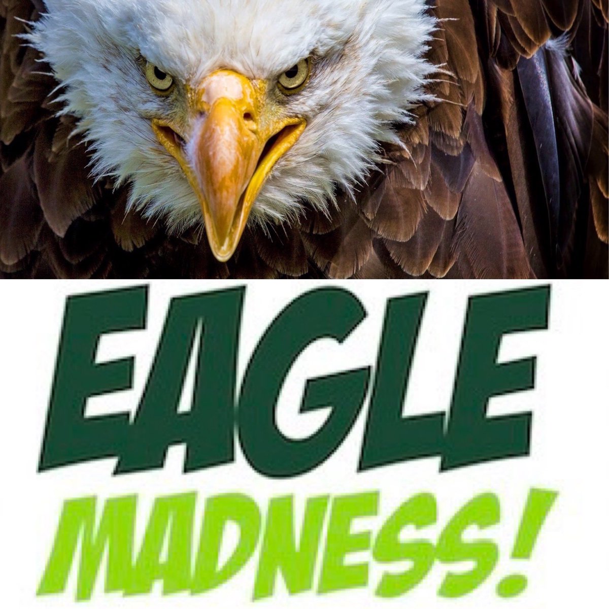 This Friday, from 7-9p, our HS Basketball program is hosting a new event… Eagle Madness!
We will recognize our Fall Varsity teams (volleyball, soccer, &amp; the state championship-preparing cross country)!  The event will also introduce our HS basketball players. Come on out Friday.