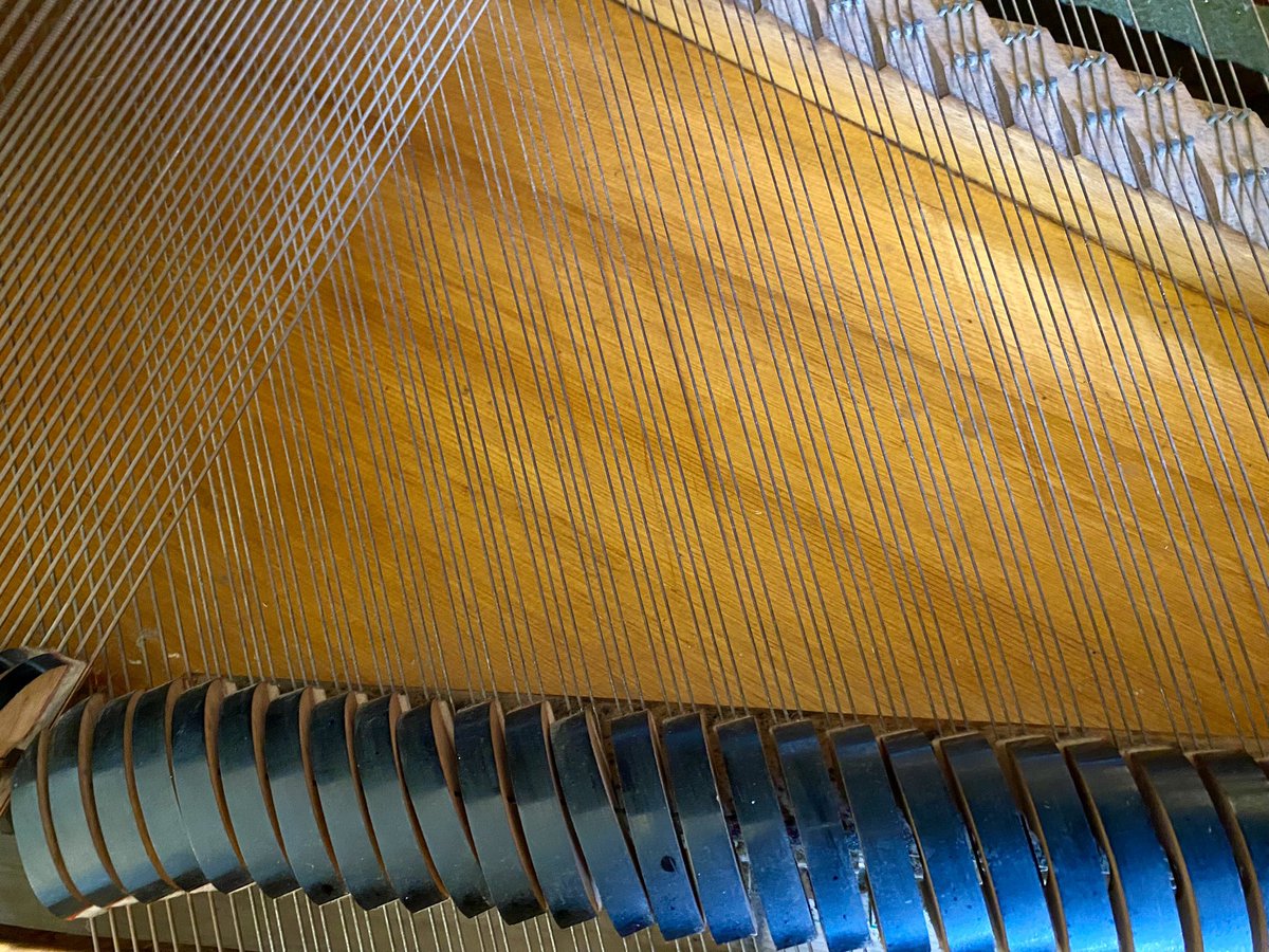 The perennially satisfying job of cleaning the piano frame and soundboard.