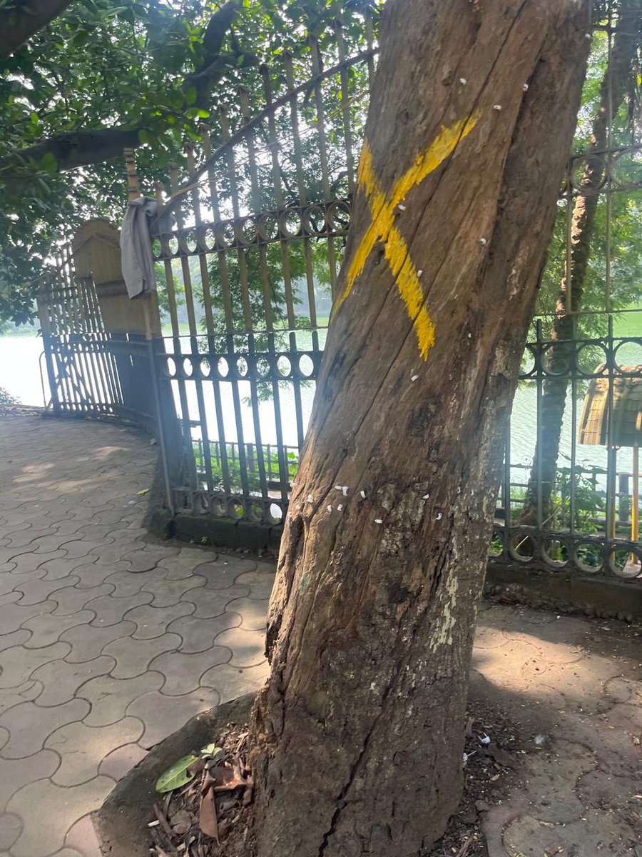 Multiple ancient trees in Dighali Pukhuri, Guwahati, marked for cutting to make way for a flyover.

These ancient guardians of Guwahati are essential to our ecosystem and heritage. Let's not sacrifice them in the name of development.

#SaveDighalipukhuri