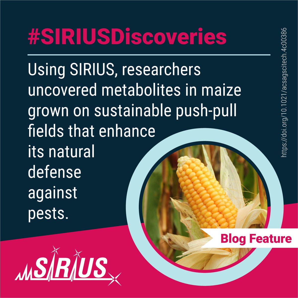 Bright Giant (@bright_giant) on Twitter photo Using #SIRIUS_MS, researchers uncovered metabolites in maize grown on sustainable #PushPullTechnology fields that enhance its natural defense against pests.
📄 Blog feature: bright-giant.com/2024/10/28/sus…
Original publication: doi.org/10.1021/acsags…
#SustainableAgriculture Using #SIRIUS_MS, researchers uncovered metabolites in maize grown on sustainable #PushPullTechnology fields that enhance its natural defense against pests.
📄 Blog feature: bright-giant.com/2024/10/28/sus…
Original publication: doi.org/10.1021/acsags…
#SustainableAgriculture