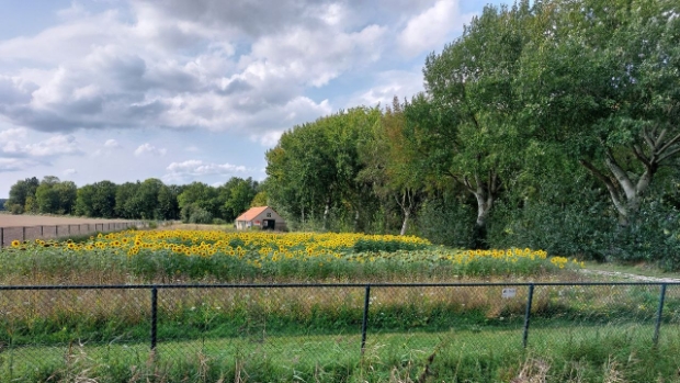 Moerdijkse Bode tweet media