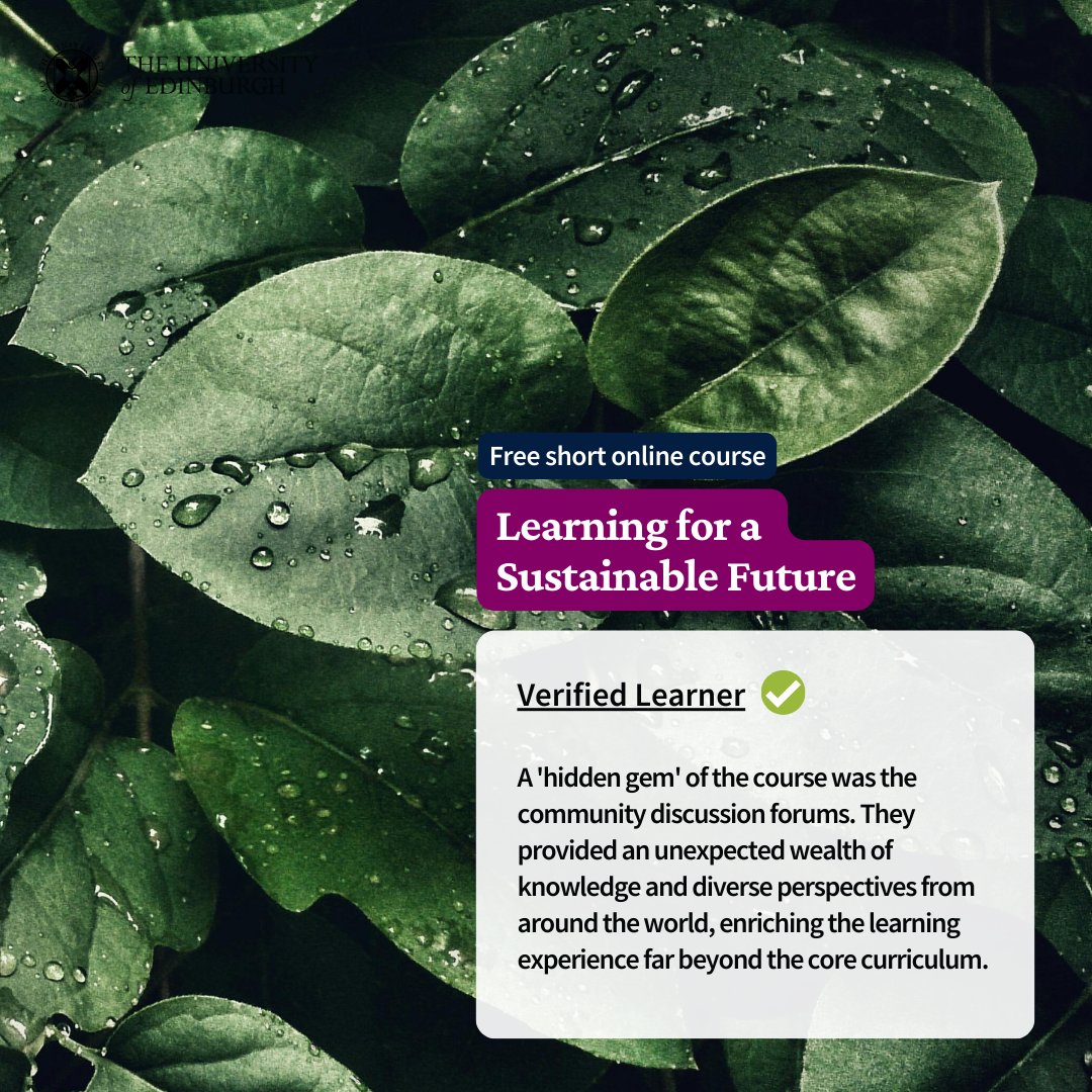 British Council Schools tweet media