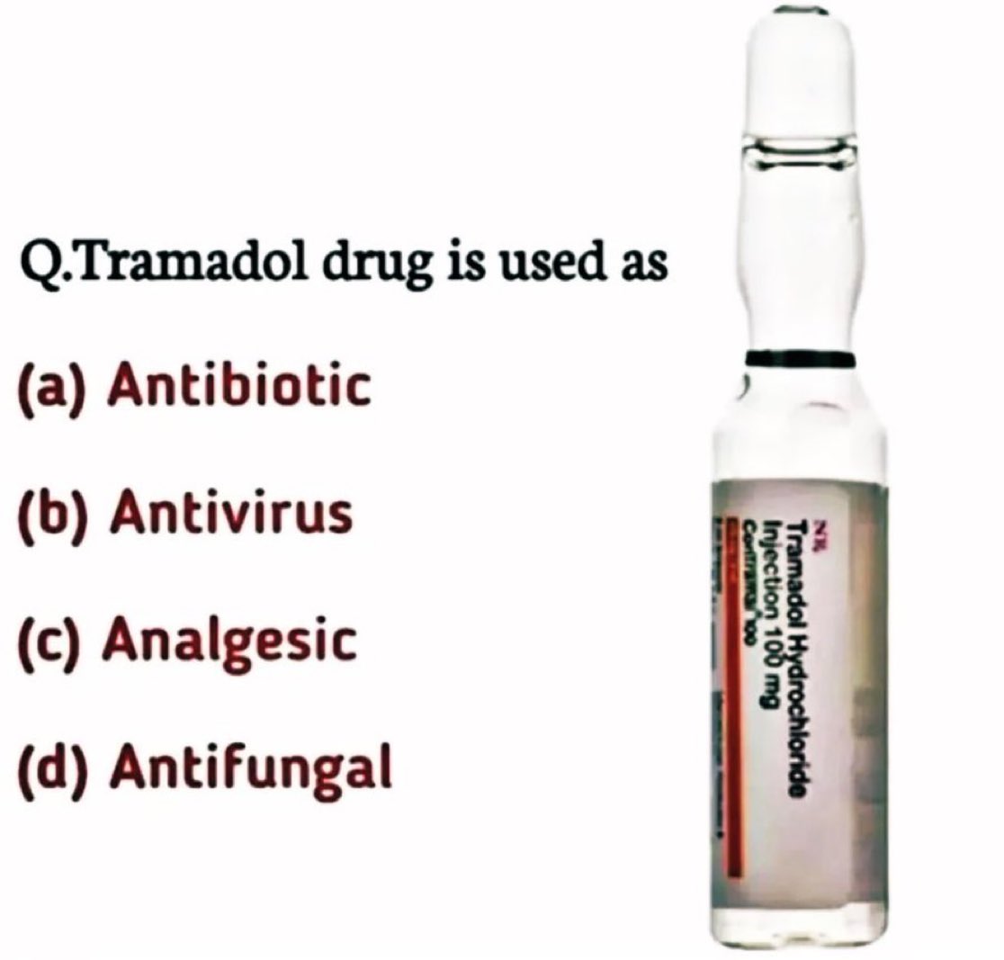 Dr Honey choudhary 🩺 tweet media