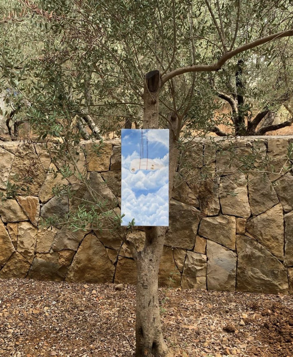 Doha Khalil tweet media