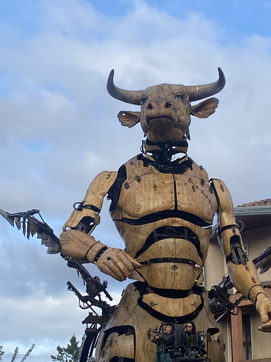 HansStephanie's tweet photo. Thank you Toulouse for this magical last 3 days.
Seeing giants in my city is really  like thining the reality beween words. The only other few times I experienced that were during some matsuri in Japan.
#toulouse #LaMachine https://t.co/3UOCiNCXFD