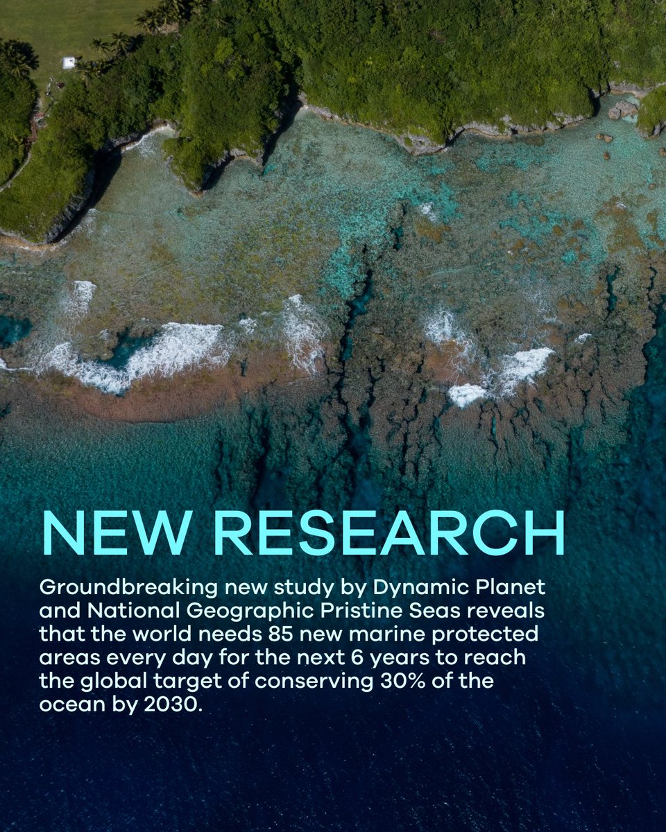 🚨 Groundbreaking new study reveals that our world needs 85 new Marine Protected Areas every day. 

With only 8% of the global ocean protected governments must significantly increase their ocean protection ambitions. 
⁠
Dive into the research👇researchsquare.com/article/rs-522…
⁠