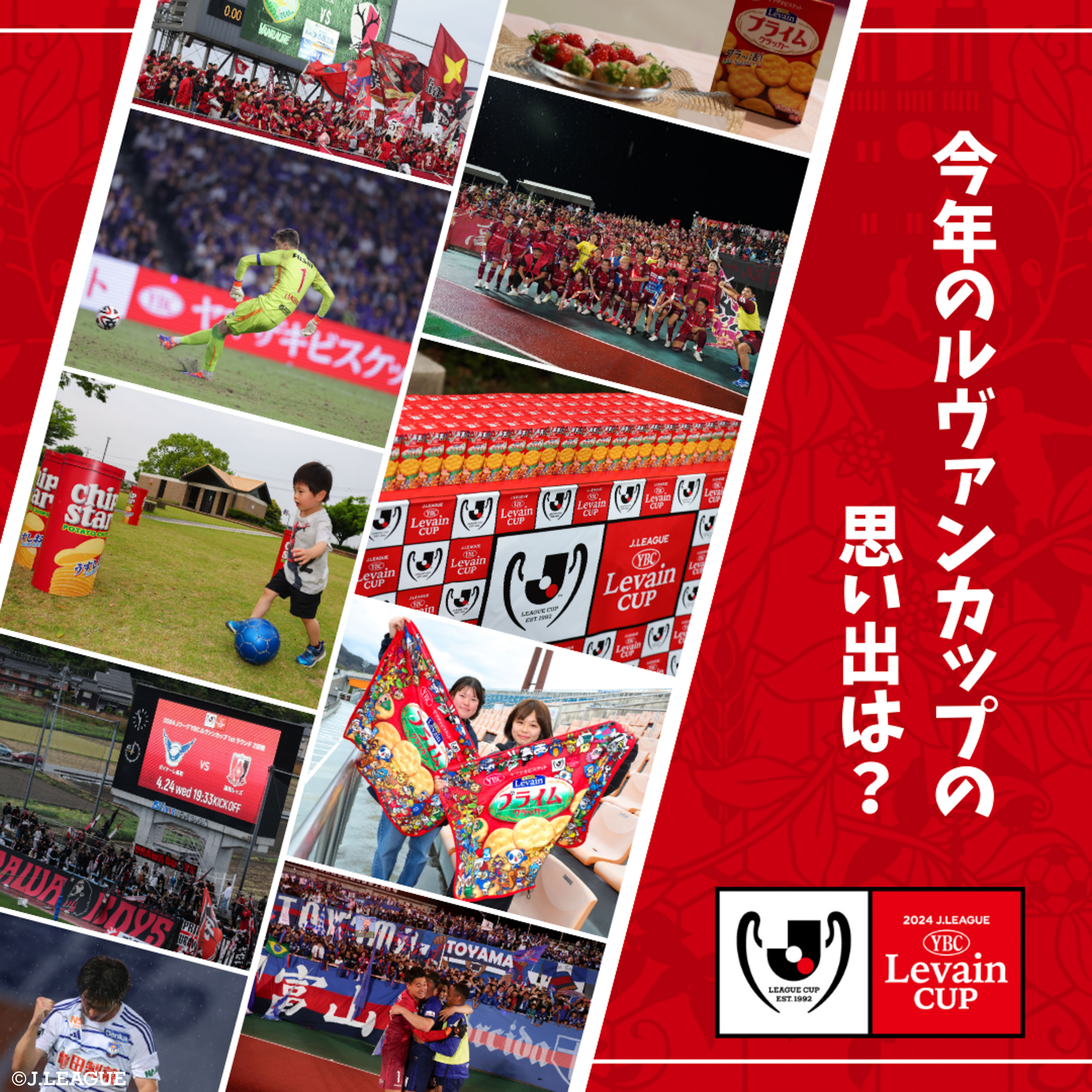 2024 Jリーグ アルビレックス新潟 ルヴァンカップファイナル