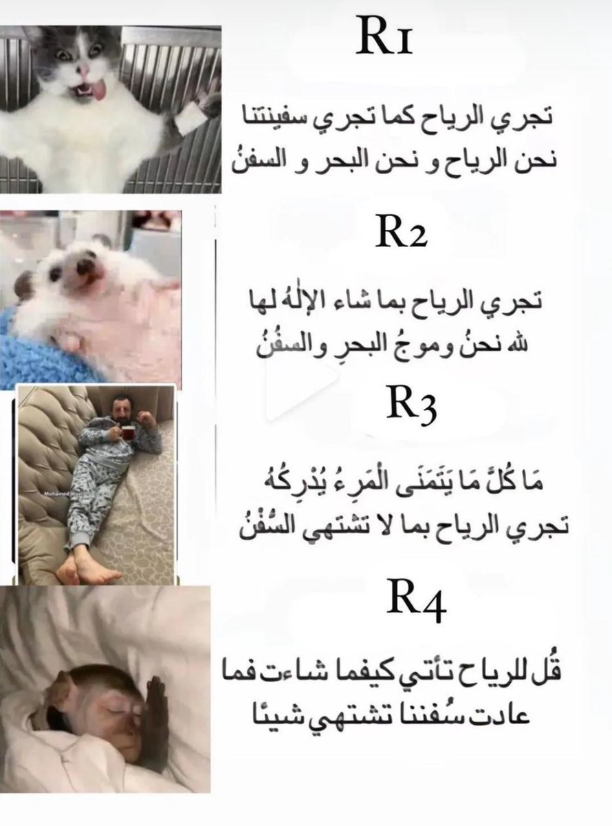 M7dda's tweet image. 