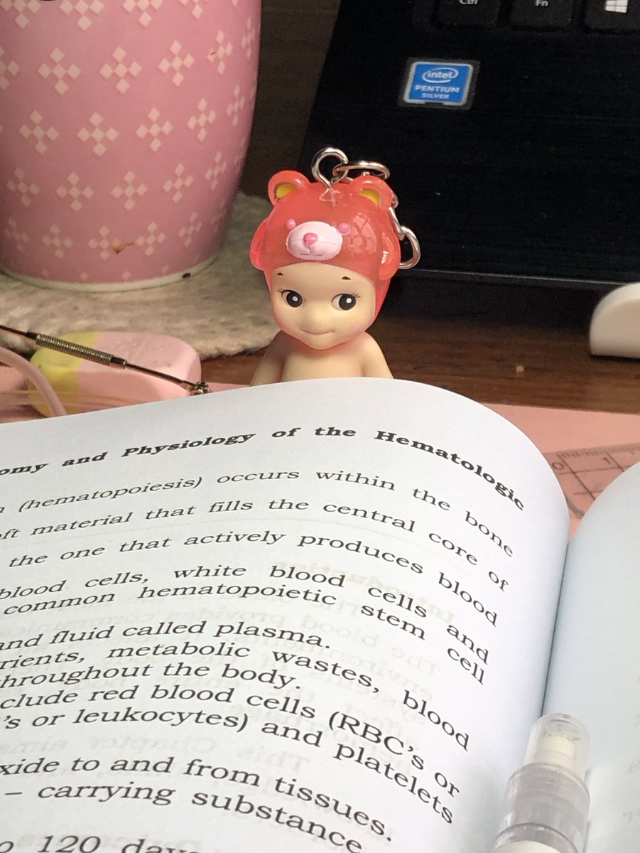 stationerin's tweet photo. gloomy review days 🌨️🔖 #studytwt #studytwtph #archivetwt https://t.co/qgesbkpjCv