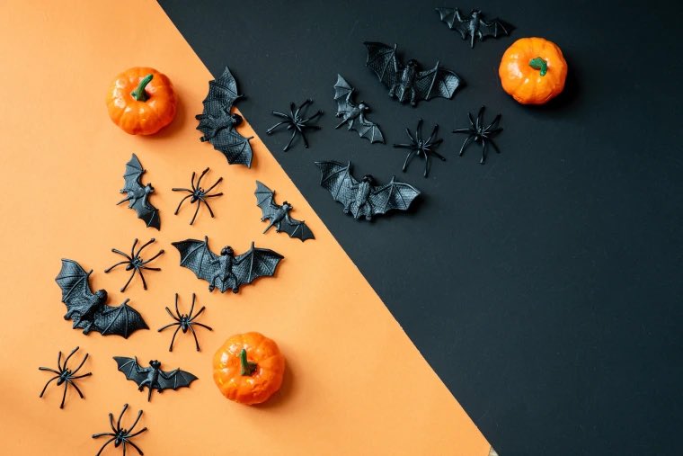 stanne_bw's tweet photo. Day 1 of our Halloween Spirit Week. Halloween Colours Day. We can’t wait to see all the wonderful, spooky colours around the school today. #titansstrong https://t.co/FyHjil4OZW