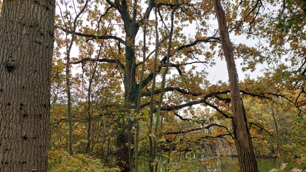 Weerbericht Halderberge: ‘Herfstweer met weinig neerslag en lagere temperaturen’ -  internetbode.nl/halderberge/l/…