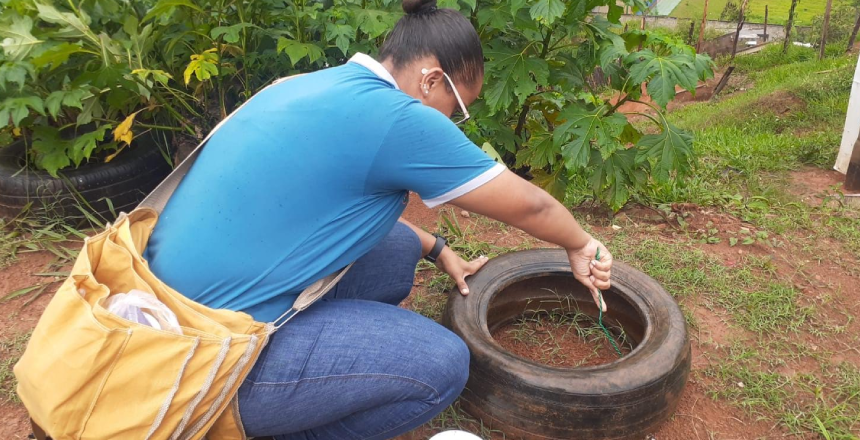 Dos dias 28 a 31 de outubro, a PJF realiza rotas de visitas e vistorias a residências e lotes em diversos bairros espalhados pelo município, seguindo com o trabalho diário de combate ao mosquito Aedes aegypti.

Confira a rota da semana: bit.ly/3A73WdA