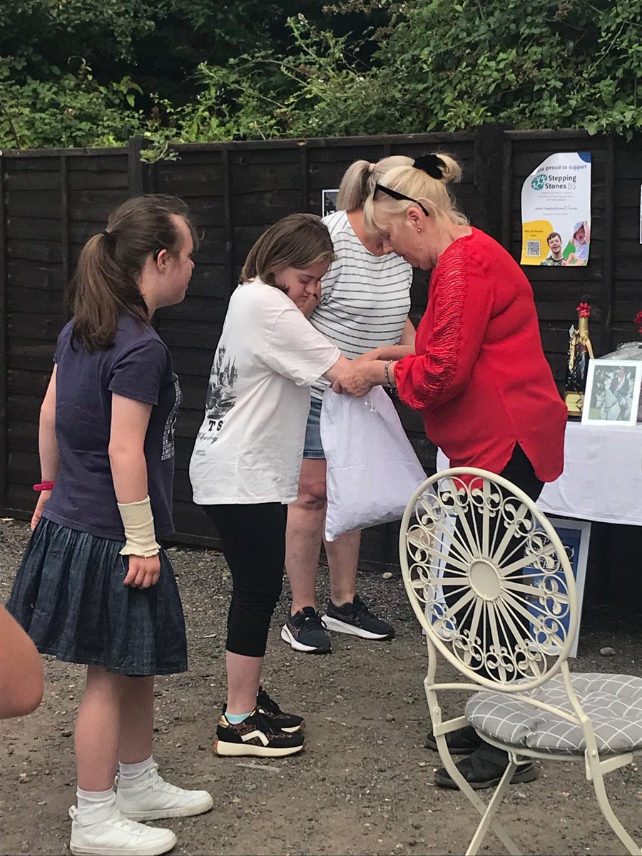 Stepping Stones DS tweet media