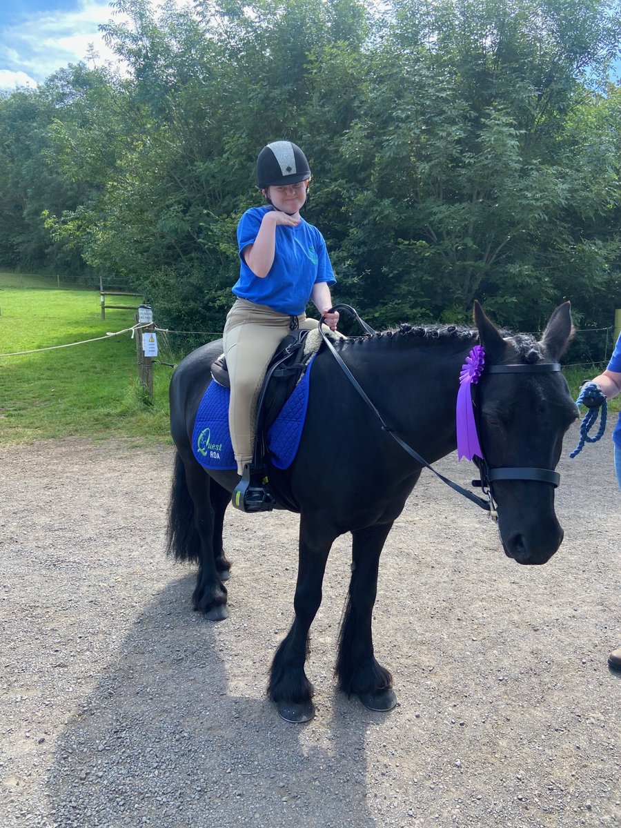 Stepping Stones DS tweet media