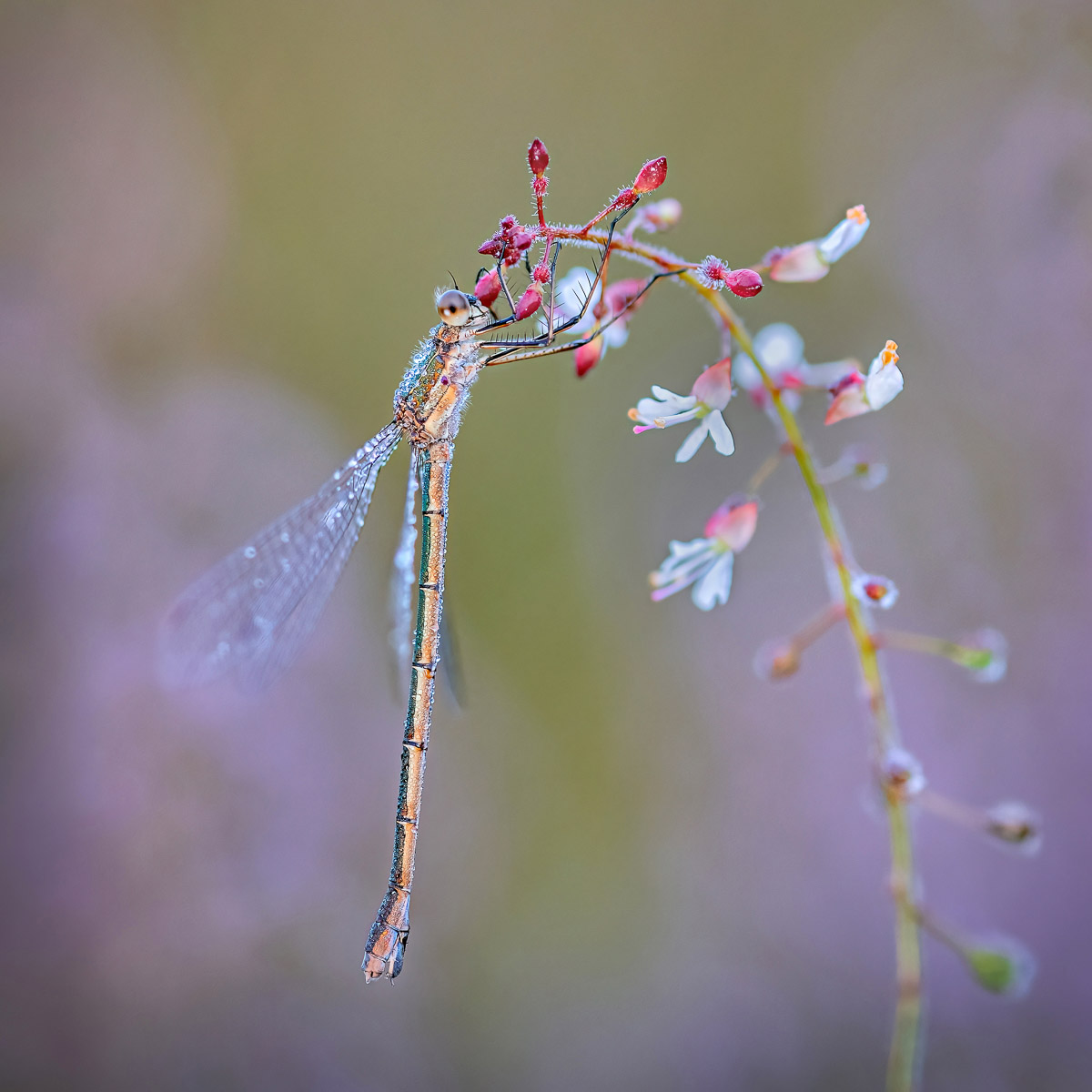 The main Competition 18 categories of this year's annual #IGPOTY competition will soon close for entries!

Closing date: October 31st, 2024 (12 Noon GMT)

Full information/terms/Rules at:
igpoty.com

#igpoty18 #photocompetitions #callforentries

Photo by Tony North