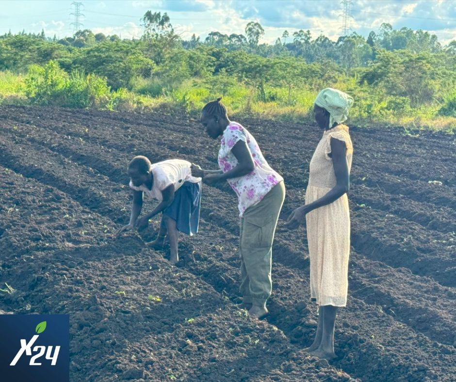 Exceed247's tweet photo. FarmFixer provides simple guidelines on regenerative farming to help Refugees in Kiryandogo minimize soil disturbance &amp; keep water on farm as long as possible. 
#farmfixer
#regenerativefarming 
#refugeefarmers
#Impact
#ClimateAdaptation https://t.co/34KM3ssISj
