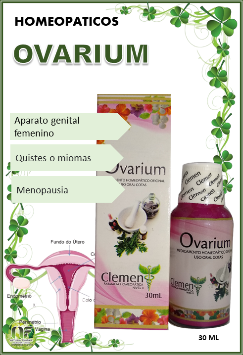 naturalfharma's tweet photo. 🌸 Gotas Homeopáticas Ovarium 🌸
🌿 Indicado para:
Mujeres con irregularidades menstruales.
Alivio de los síntomas de menopausia. Quienes buscan opciones naturales para el bienestar hormonal. https://t.co/bdgHK498wS