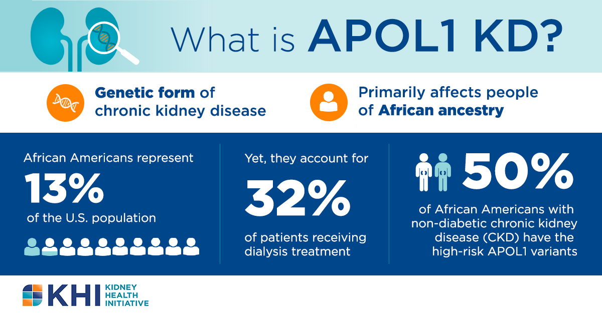 Provider training on diagnosing genetically mediated kidney diseases like APOL1 KD can be life-saving.​

Help build a healthcare system ready to face these challenges!​

Use the #APOL1KDRoadmap to stay #APOL1Aware: bit.ly/3VKjHPS​
#APOL1Education