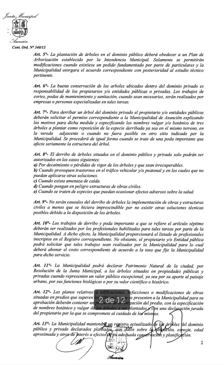 🚨 URGENTE | Iniciaron la tala de +100 árboles en el bosque San Vicente, violando la Ordenanza 340/13, que prohíbe la poda en primavera-verano, y pese a la denuncia en Fiscalía por producción de documentos públicos falsos.