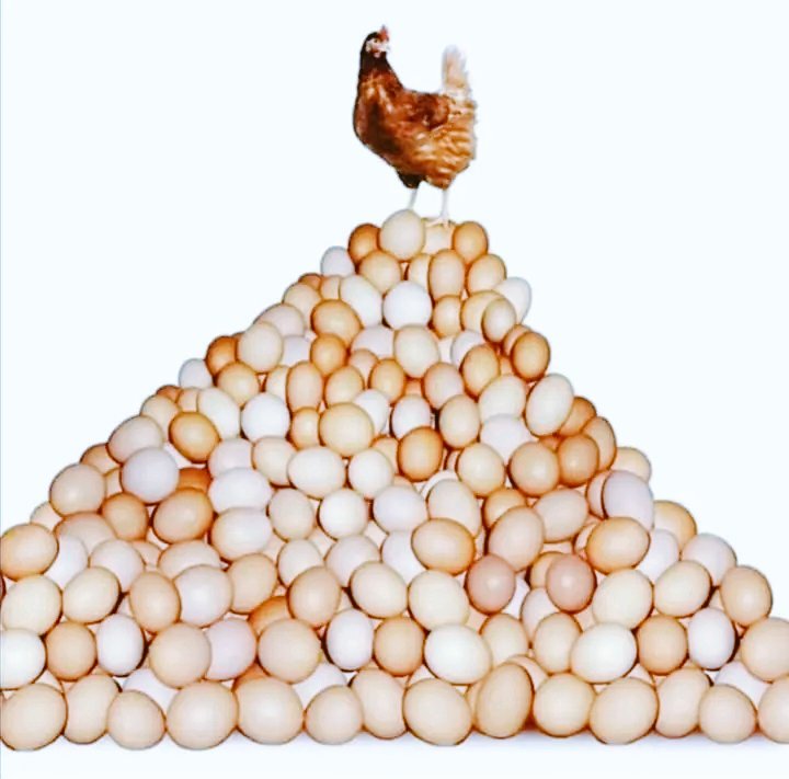 LAYER'S FEEDS?

Here’s a formulation guide based on  expert recommendations:
1. Starter Feed (0-8 weeks)
   - Maize: 50 kg
   - Soya Meal: 17.5 kg
   - Fish Meal: 12 kg
   - Maize Bran: 10 kg
   - Sunflower Cake: 4.5 kg
   - Limestone: 4 kg
   - Bone Meal: 1.5 kg
   - Salt: 300