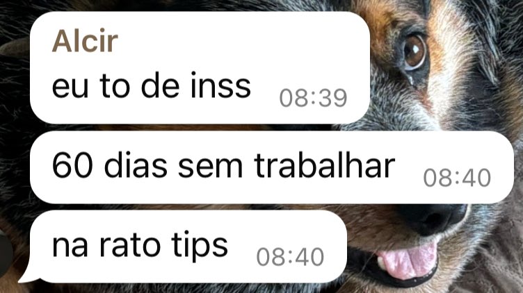 RatoTips tweet picture