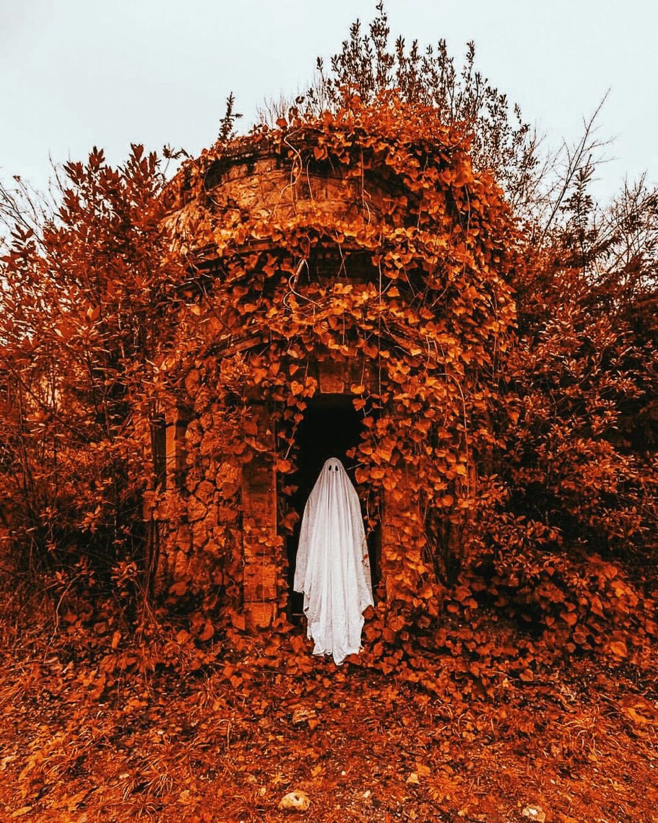 thespookygirll's tweet photo. 3 more days till Halloween 🎃 https://t.co/DqXuzuMgzi