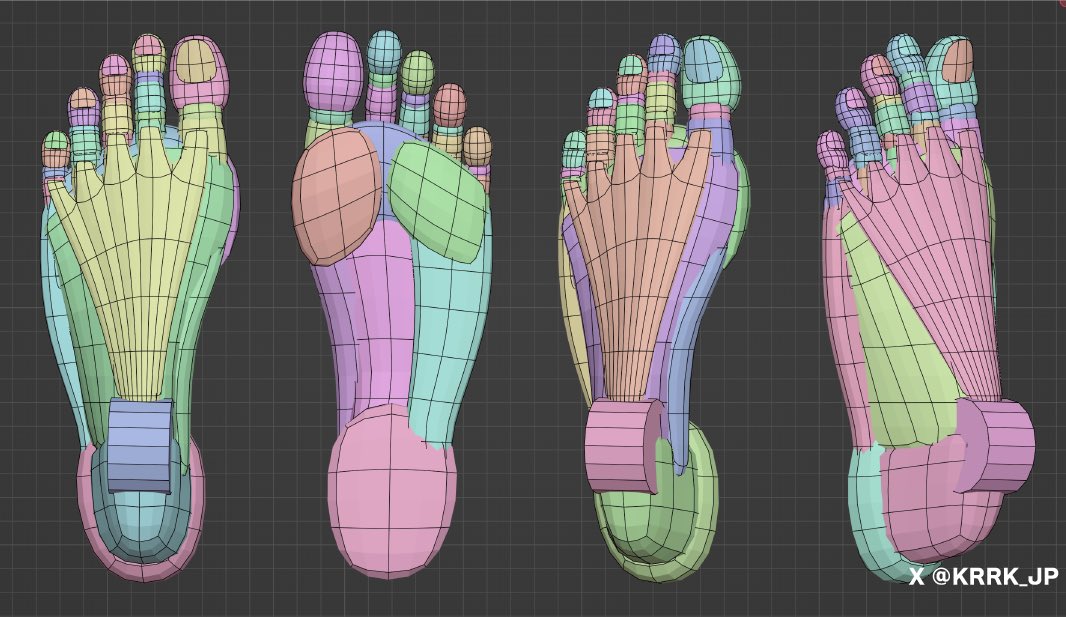 KRRK anatomy model 「足」 #Blender #3DCG #美術解剖学