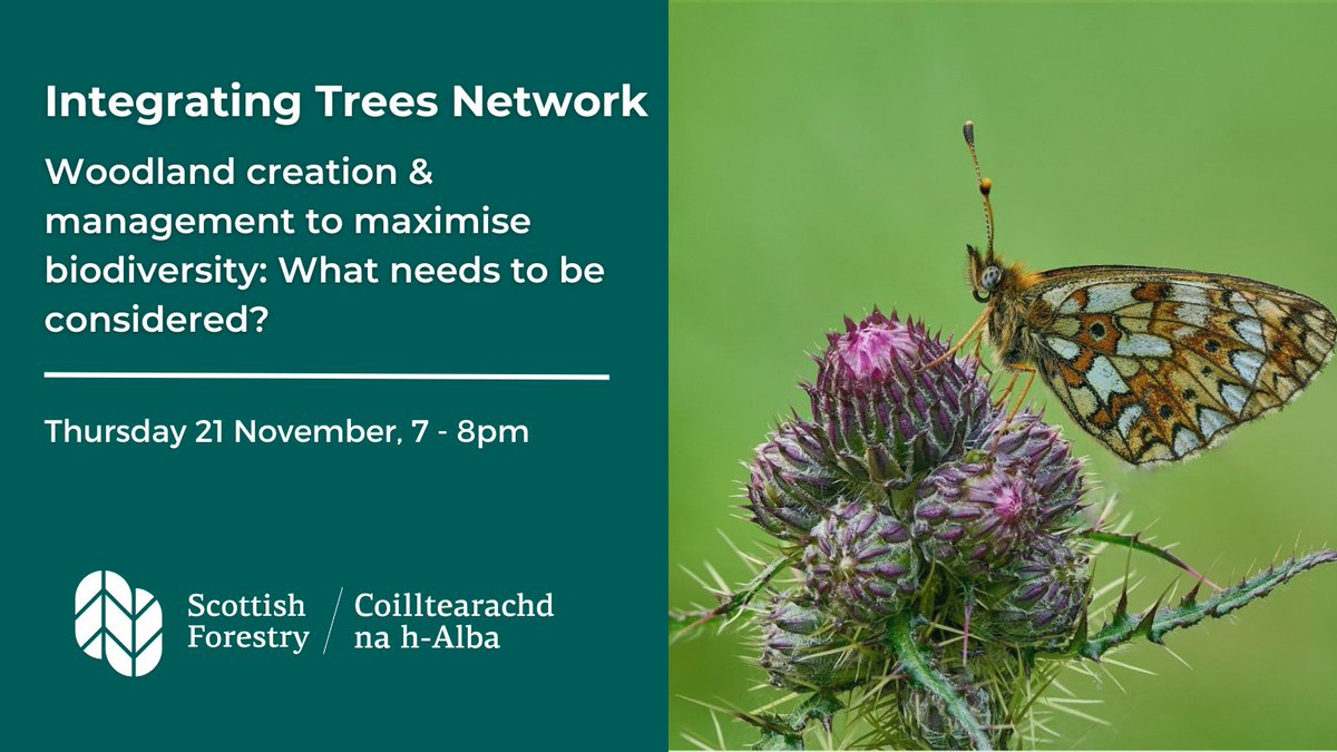 scotforestry's tweet photo. Join us for an informative evening about woodland creation and biodiversity  You’ll hear from Colin Edwards, FLS Environment Manager, and ITN hosts Richard Lockett and Phil Knott.

Book your free place 👉https://t.co/rjYJ3uCP6F https://t.co/zBdUESTKNu
