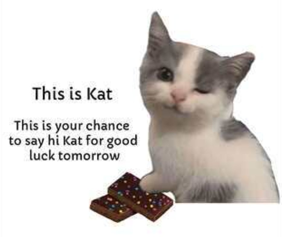 smol silly cat tweet media