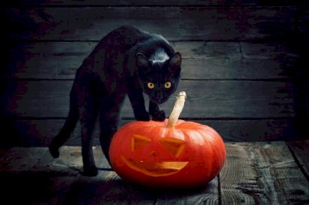 Don't let Halloween turn into a fright on your street. Here are some common - and unexpected - incidents that could happen and might be covered by your insurance policy. spr.ly/6010q46Qr